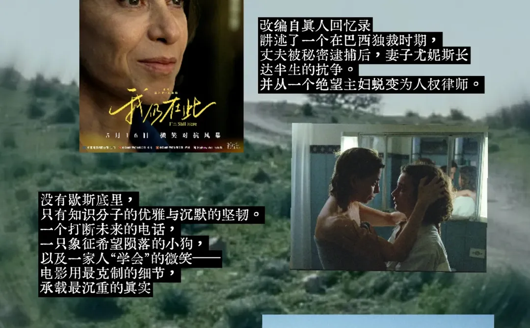 2025年，就在看完这6部女性电影的充溢中结束-夜雨聆风